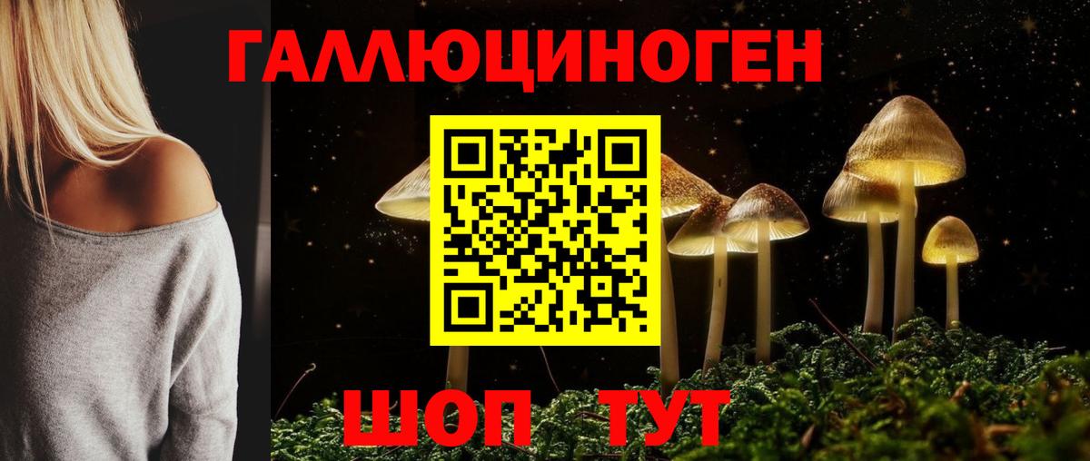 Волгоград  Галлюциногенные грибы Cubensis  Вход с VPN  Галлюциногенные грибы MAGIC MUSHROOMS 