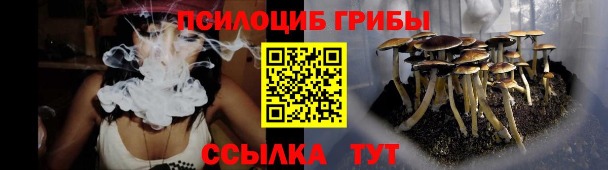 Псилоцибиновые грибы Psilocybine cubensis Волгоград